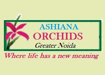 Ashiana Orchids